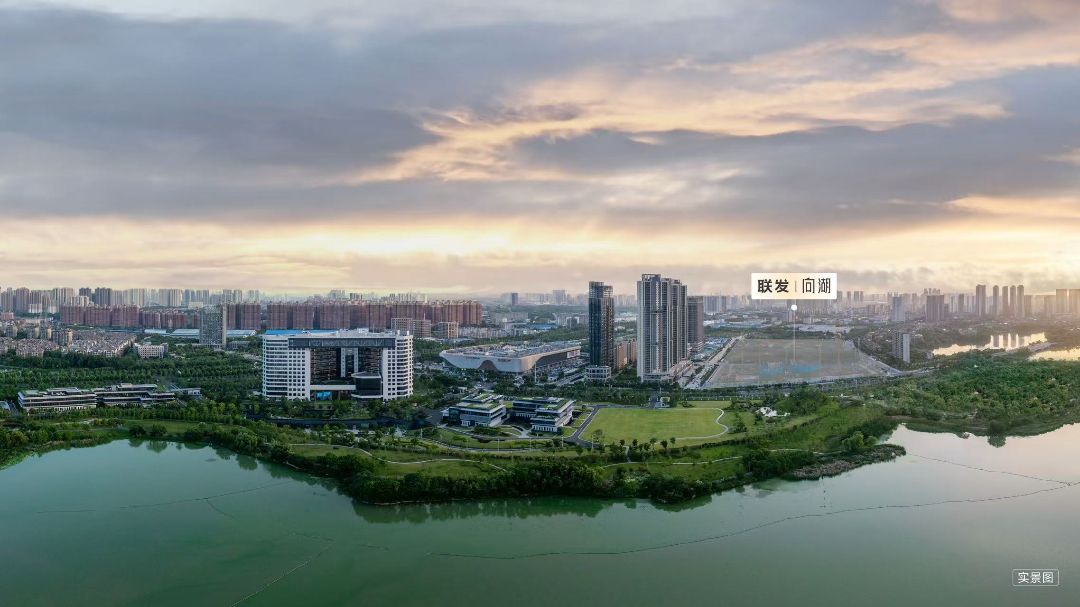 联发.向湖实景图