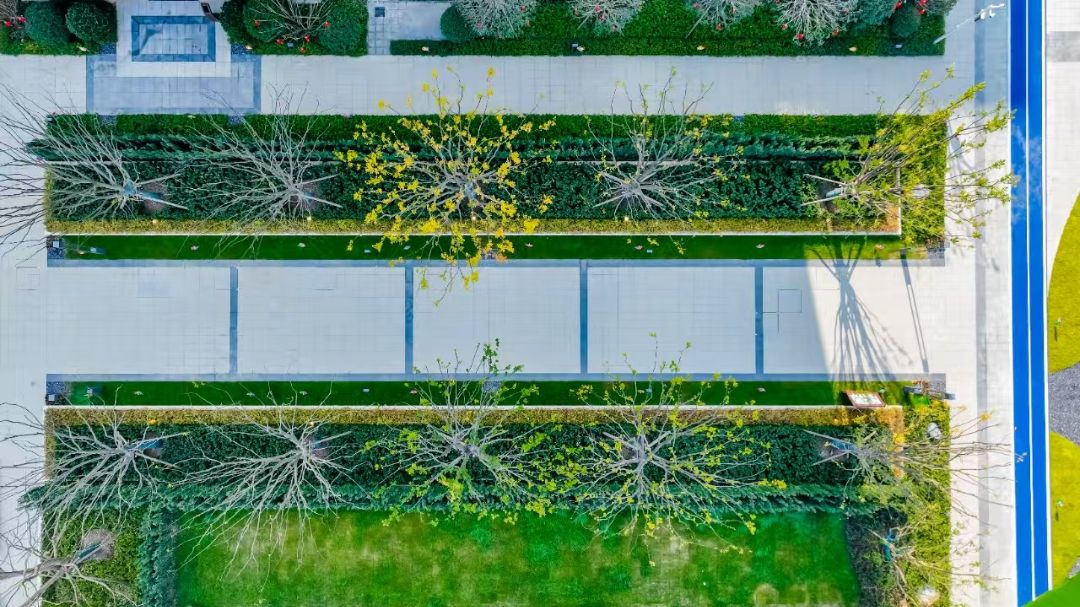 创维.汉华世家实景图