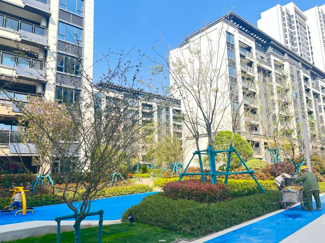 美的.云筑效果图图片