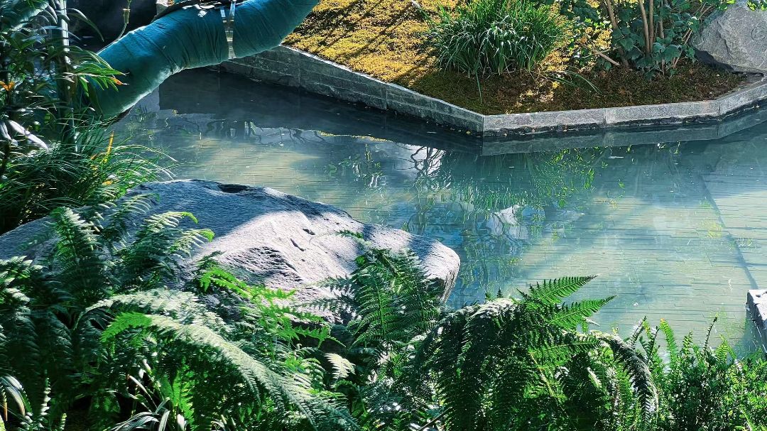 承宁府实景图