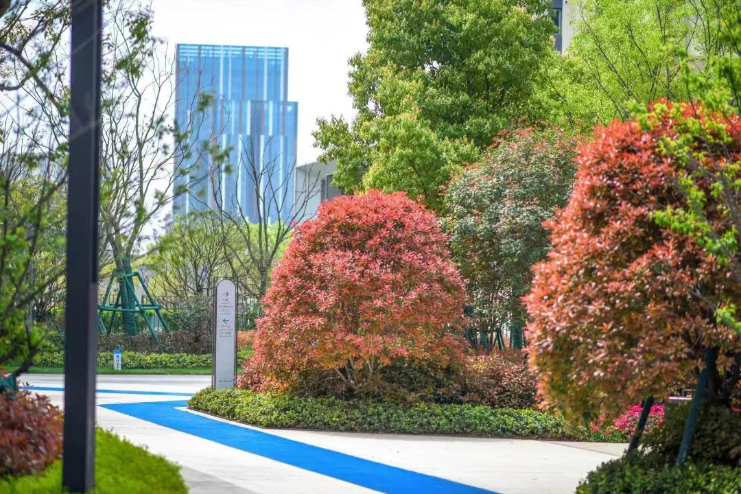 美的.云筑效果图图片