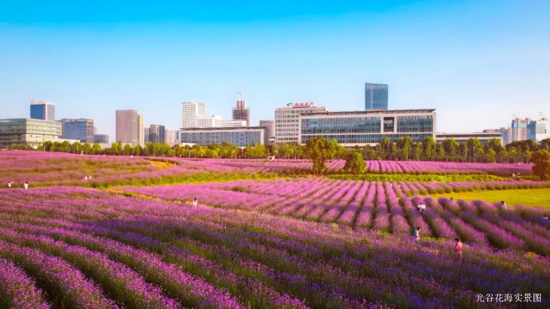 深业翠微谷 效果图图片