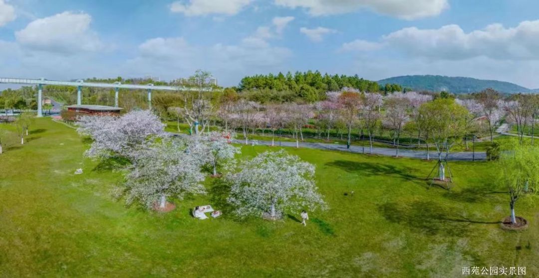 深业翠微谷 效果图图片