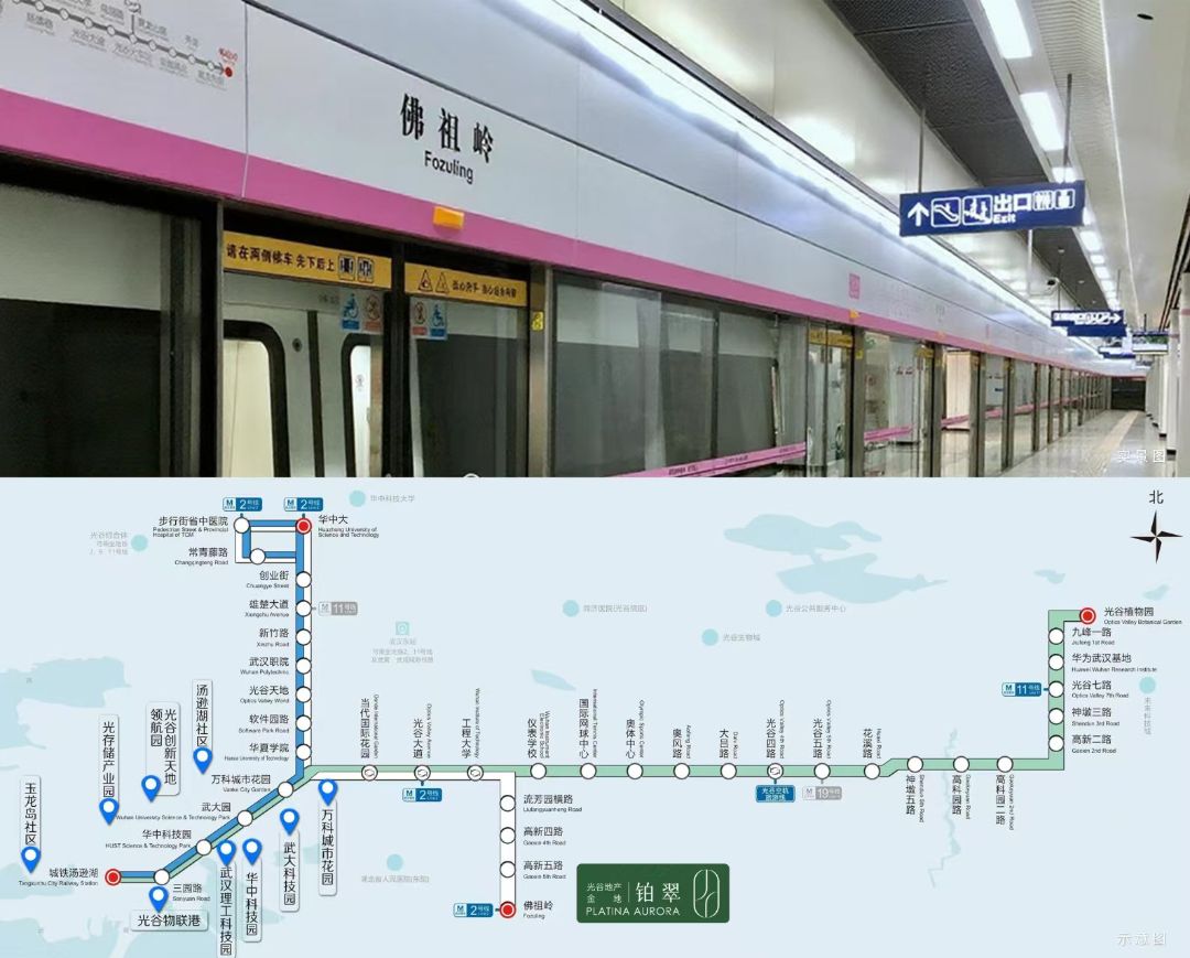 光谷地产.金地铂翠配套图