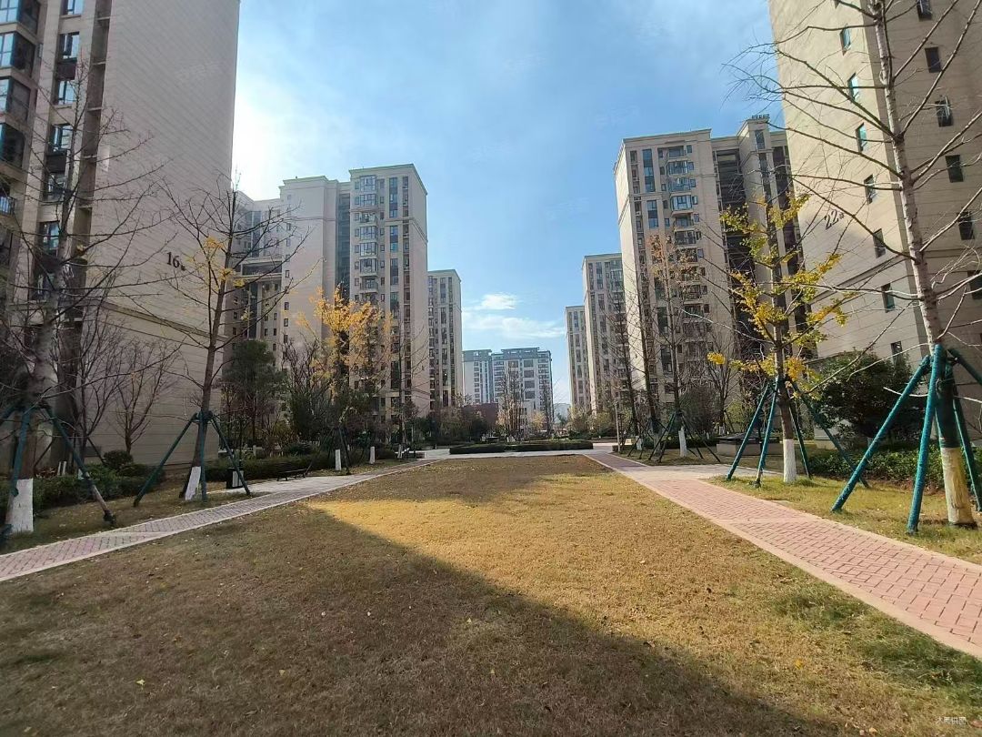 中南佛晓城实景图