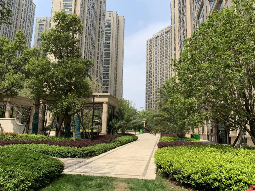 中南佛晓城实景图