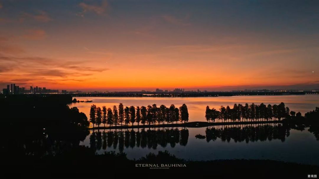 招商.紫荆府配套图