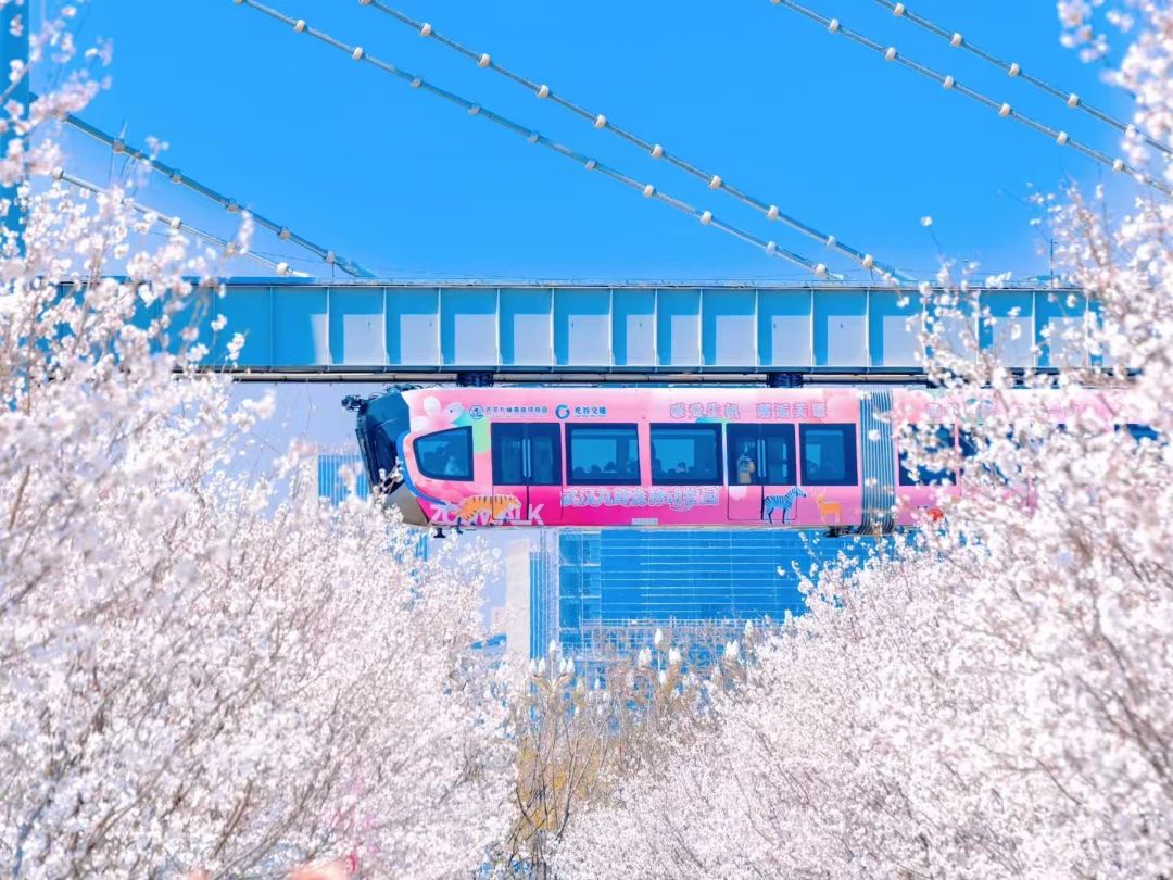 大家.玖宸配套图