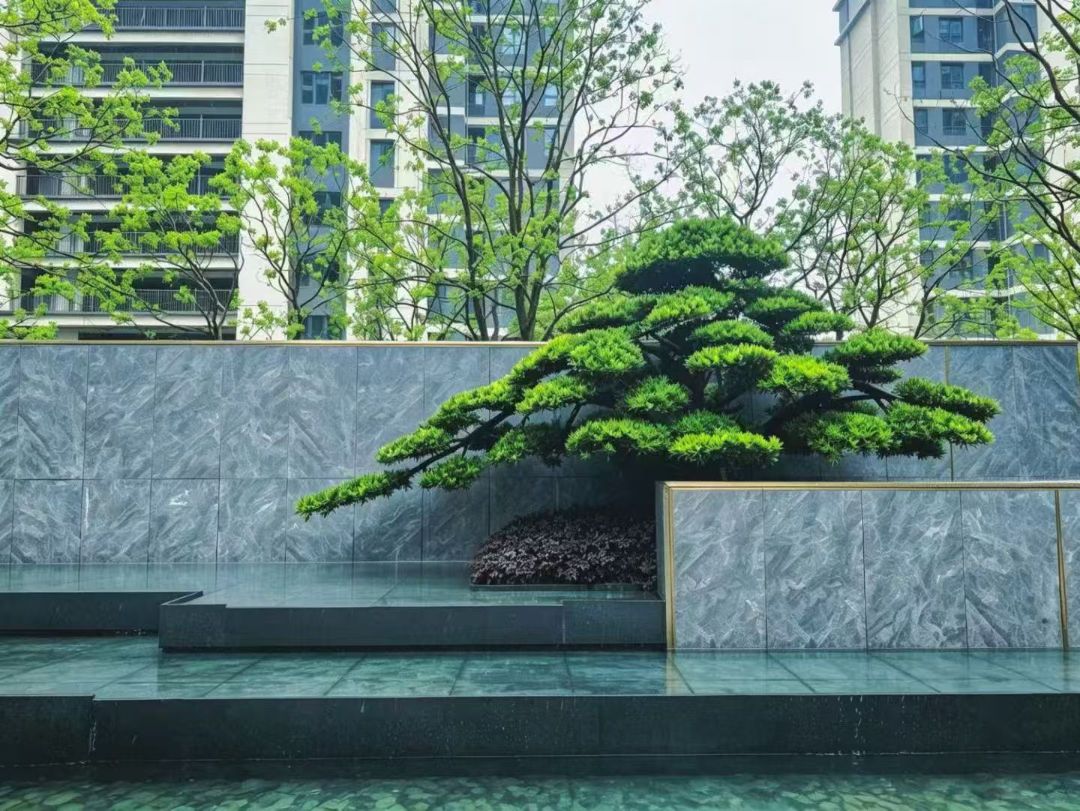 光谷湖畔大观实景图