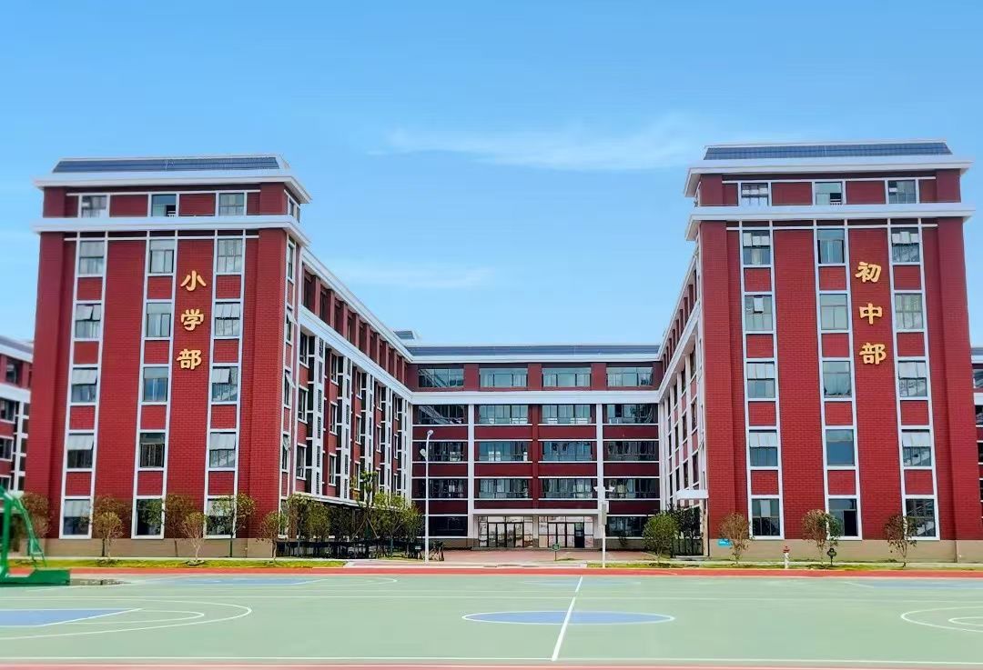 武汉.湖畔春风实景图