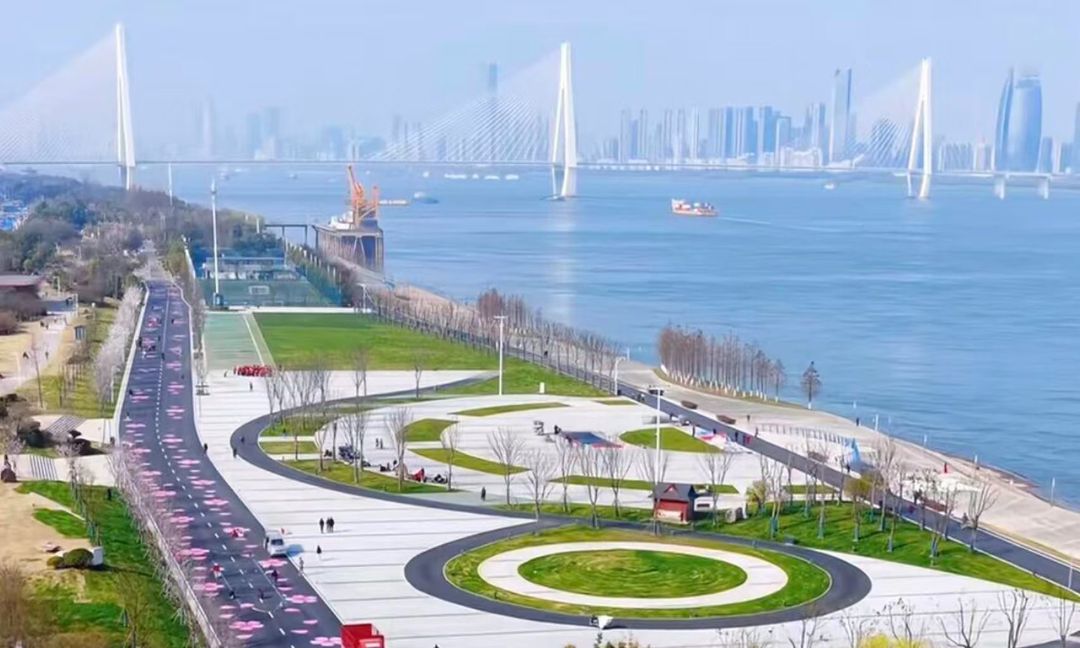 绿城.青雅书院配套图