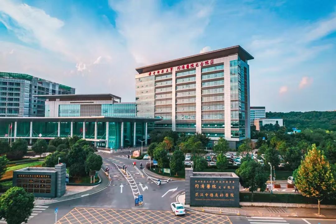 光谷地产.金地铂樾配套图
